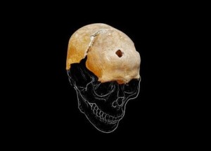 Cranio rinvenuto nella cripta della basilica di S. Pietro, a Bologna. VIII-X sec